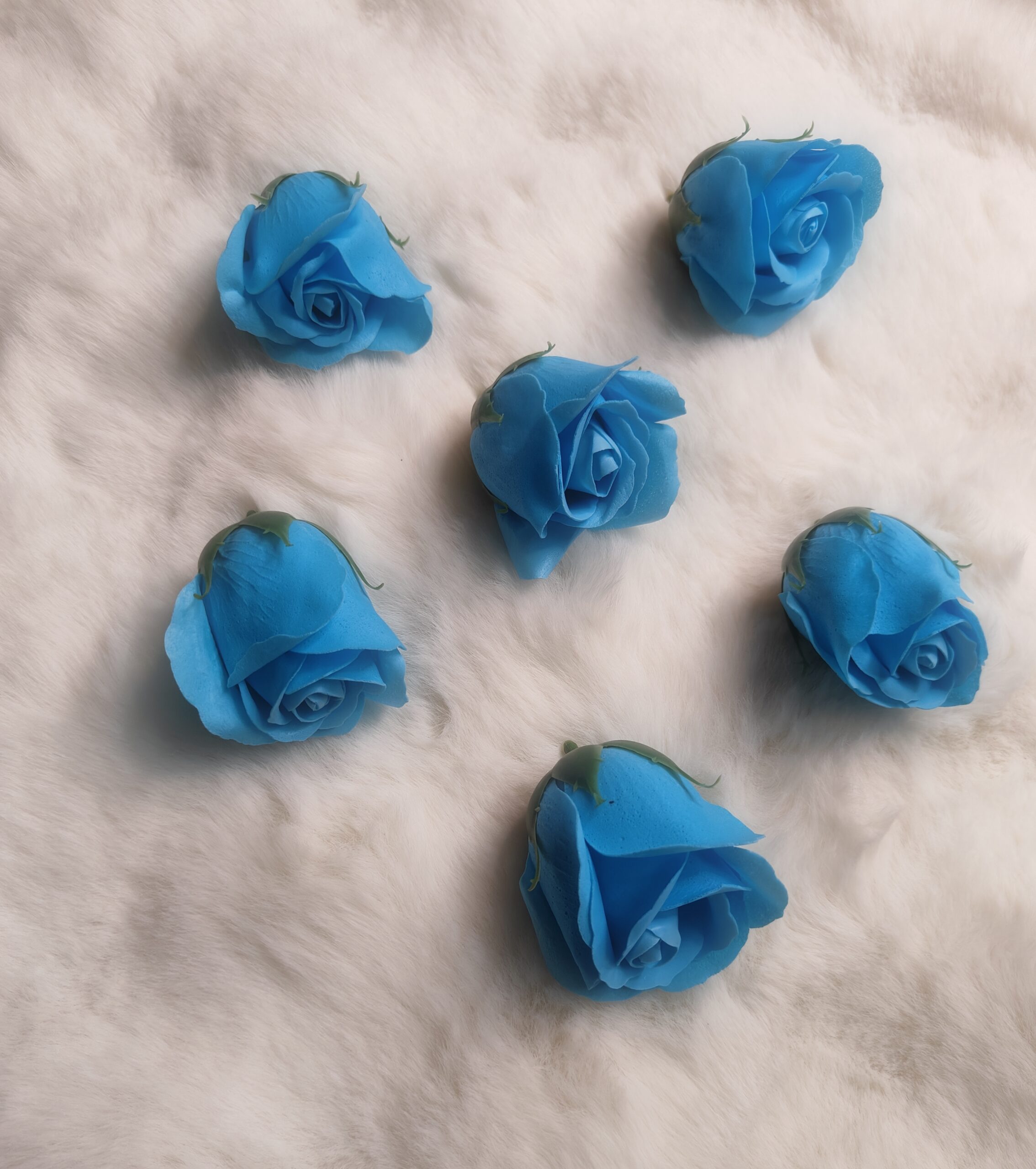 Scented Flowers Ocean Blue pack of 5