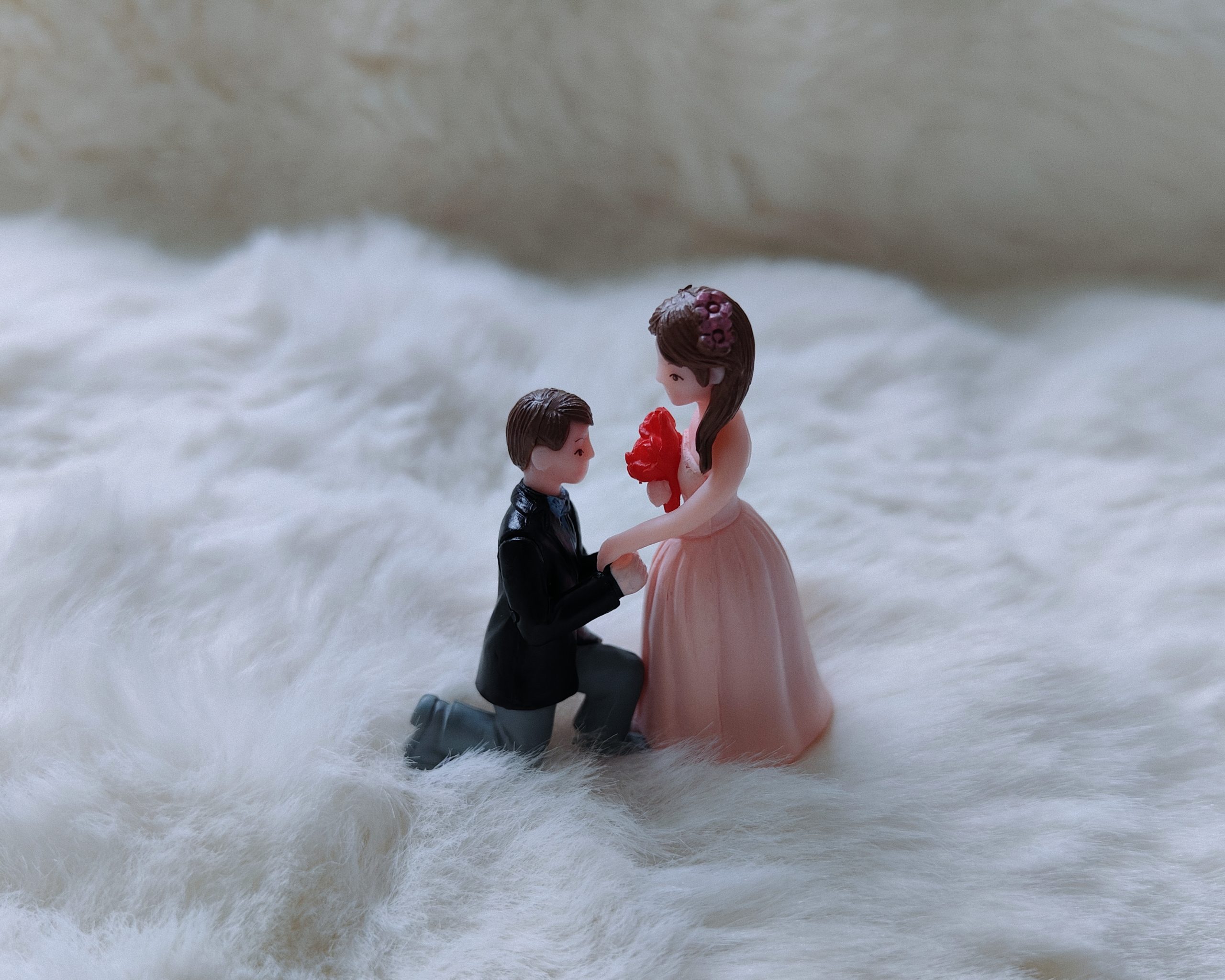 Engagement couple-miniature Toy set